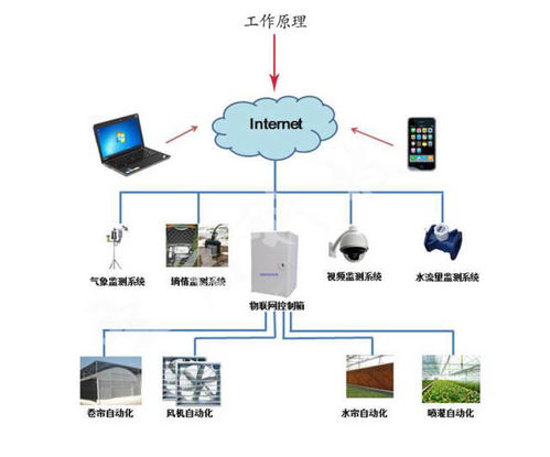 智能溫室大棚控制系統的功能特色與物聯網技術應用研究